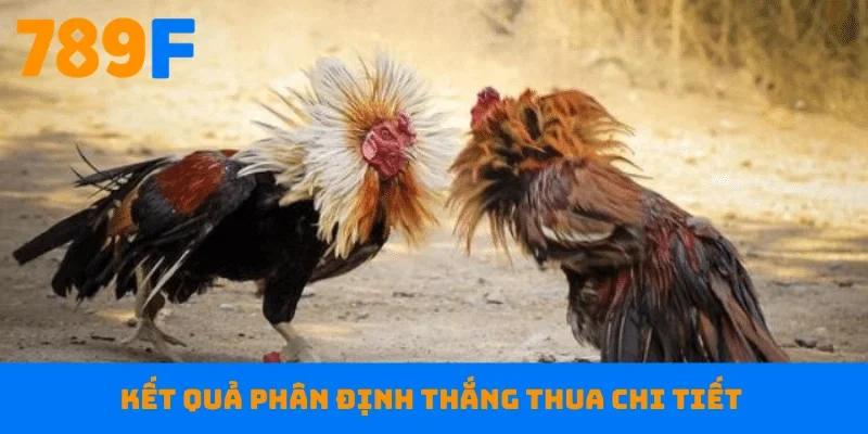 Kết quả phân định thắng thua chi tiết