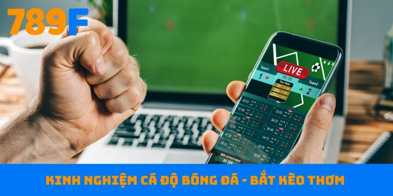 Kinh nghiệm cá độ bóng đá