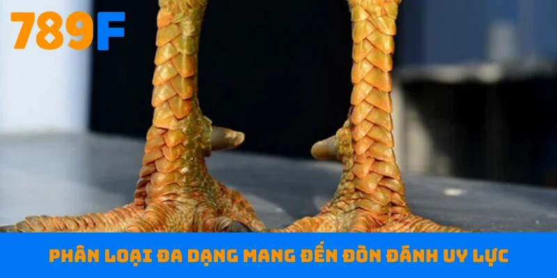 Phân loại đa dạng mang đến đòn đánh uy lực