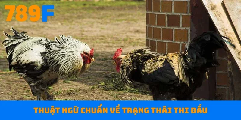 Thuật ngữ chuẩn về trạng thái thi đấu